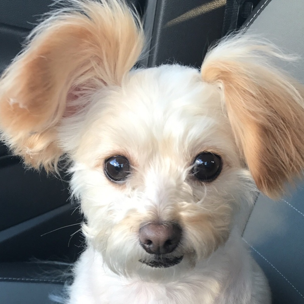 Meet your Posher, Kalianne